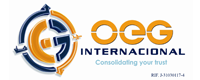 Oeg Internacional